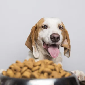 Caninos\Alimentos